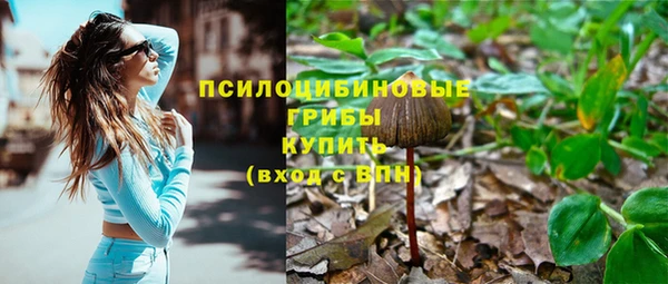 a pvp Гвардейск
