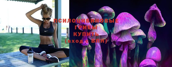 тгк Гатчина