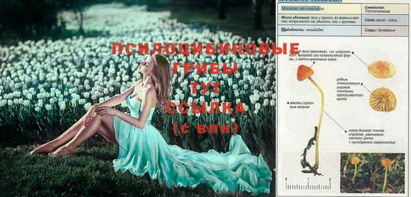 тгк Гатчина