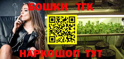 стафф Гай
