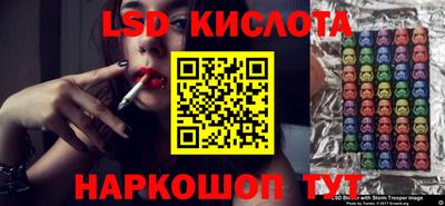 стафф Гай