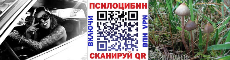 Псилоцибиновые грибы GOLDEN TEACHER  купить наркоту  Заводоуковск 