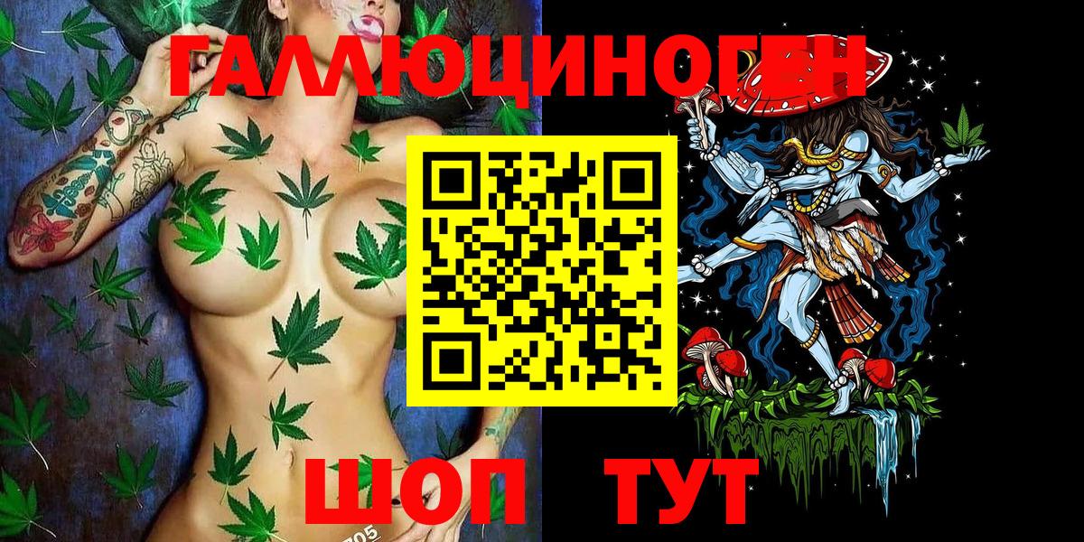 купить  сайты  Вход с VPN  Псилоцибиновые грибы Magic Shrooms  Заводоуковск  Галлюциногенные грибы Psilocybe 