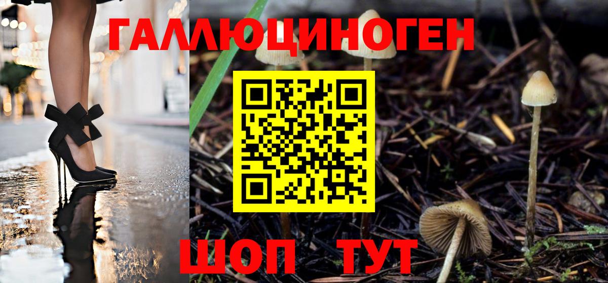 Галлюциногенные грибы Magic Shrooms Заводоуковск